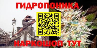 крисы Краснокаменск