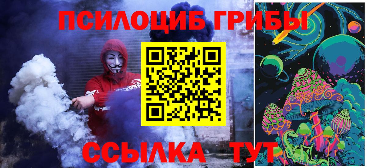 Ишим  Галлюциногенные грибы прущие грибы  Вход с VPN 