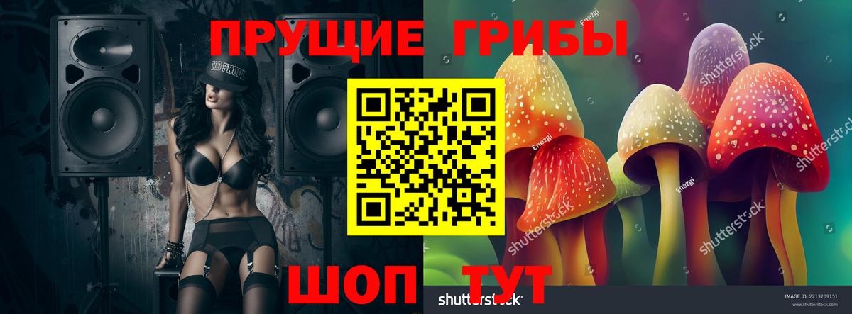 Псилоцибиновые грибы GOLDEN TEACHER Ишим